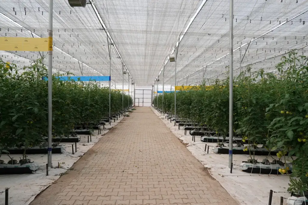 深圳电子制造企业常用连接器选型与正品供应渠道分析