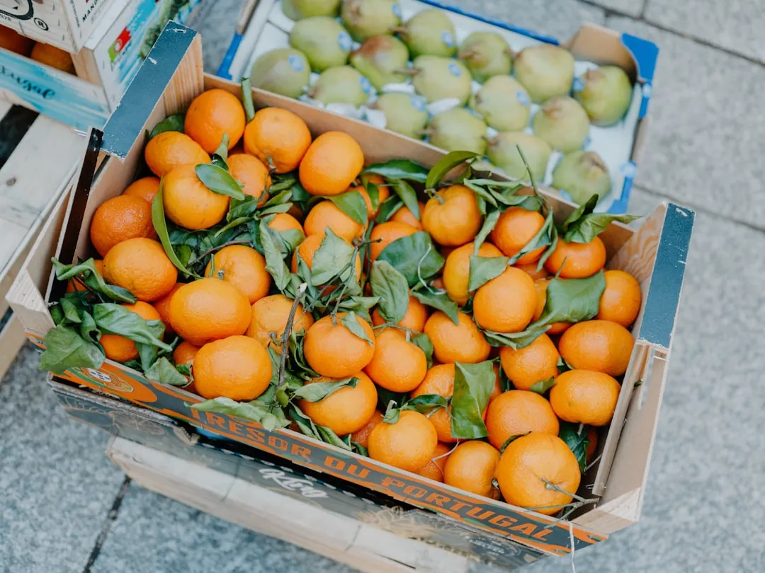深圳电子元器件采购指南：集成电路与连接器正品货源要点